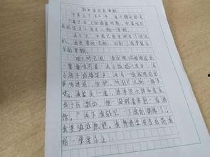 吃瓜大赛作文600字,一场舌尖上的吃瓜大赛